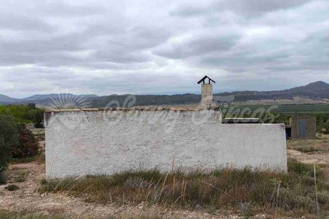 Landejendom i Caudete, Albacete, Caudete - € 39.000 | Ref: SF0580 - foto 14